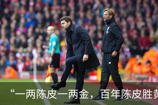 “一两陈皮一两金，百年陈皮胜黄金”，湿气重、脾胃差、失眠，去吃它