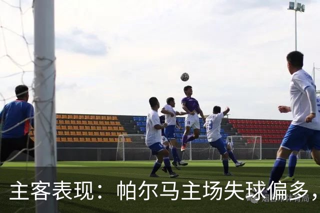 主客表现：帕尔马主场失球偏多，乌迪内斯进攻更好
