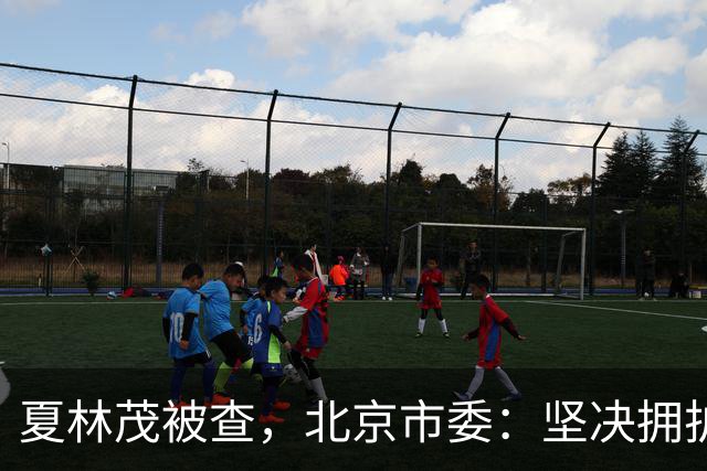 夏林茂被查，北京市委：坚决拥护党中央决定