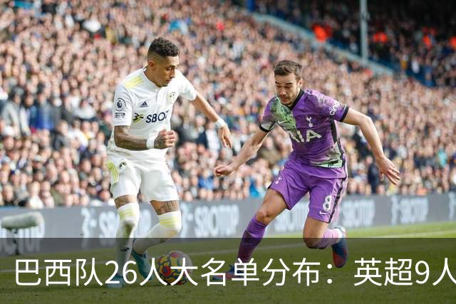 巴西队26人大名单分布：英超9人，五大联赛共计16人