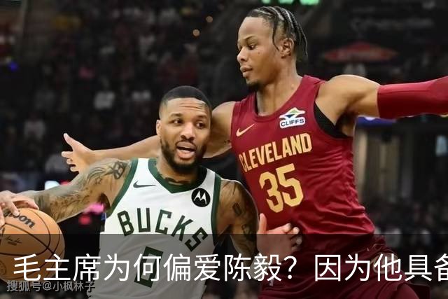 毛主席为何偏爱陈毅？因为他具备三大优点，喜爱也很正常！