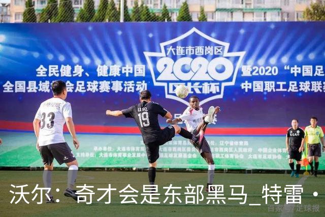 沃尔：奇才会是东部黑马 特雷·杨和浓眉有实力关键看健康