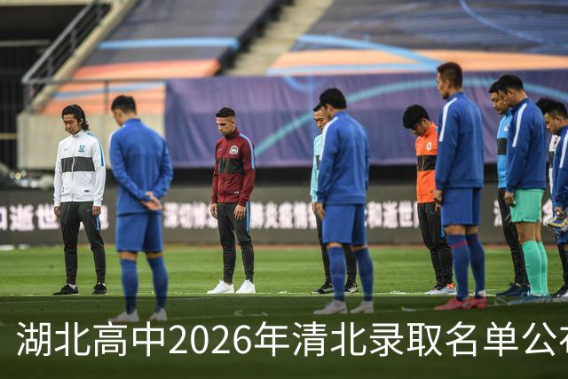 湖北高中2026年清北录取名单公布