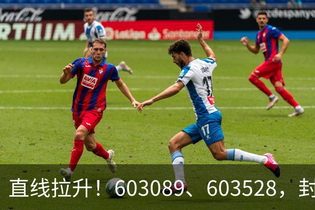 直线拉升！603089、603528，封涨停！