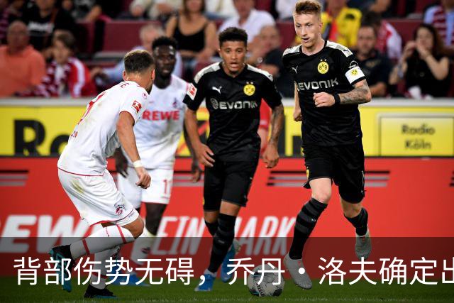 背部伤势无碍，乔丹·洛夫确定出战雄狮